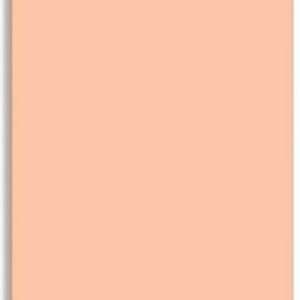 Cartulina Guarro Carne A4