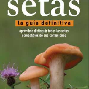 Setas Guía Definitiva