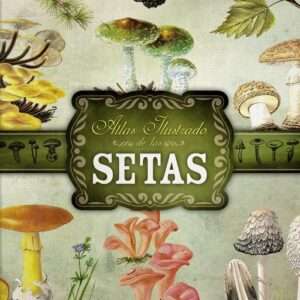 Atlas Ilustrado de setas