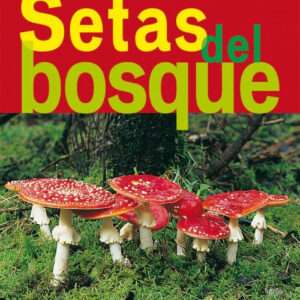 Setas del bosque